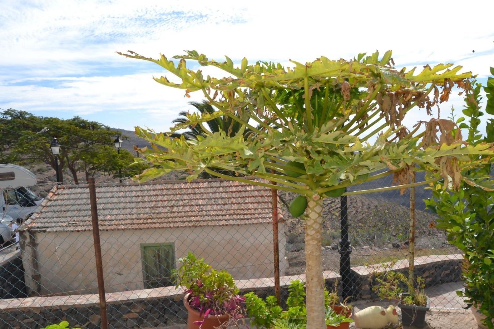 Arguayoda Holiday home Alajero